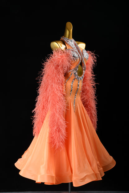 Professional Ballroom Competition Dress 