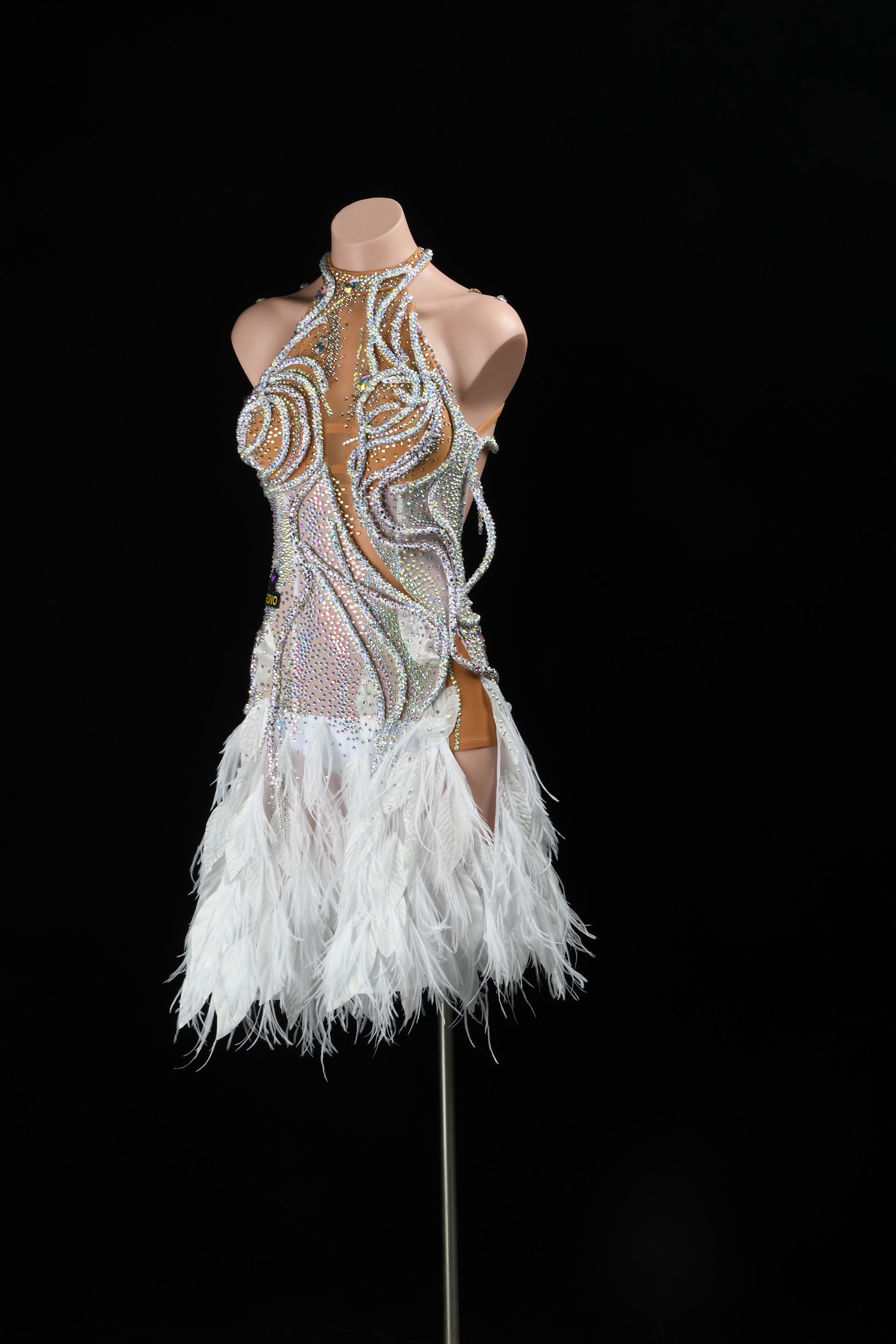 Latin Dance Costume