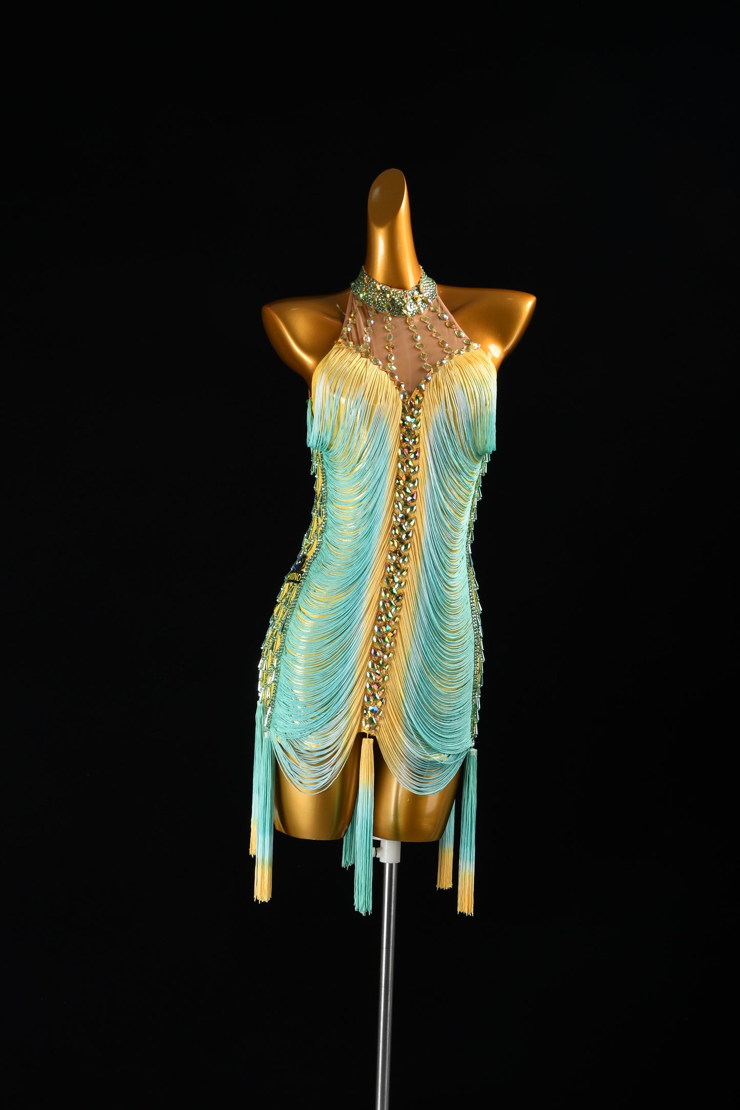 Custom Dance Costume