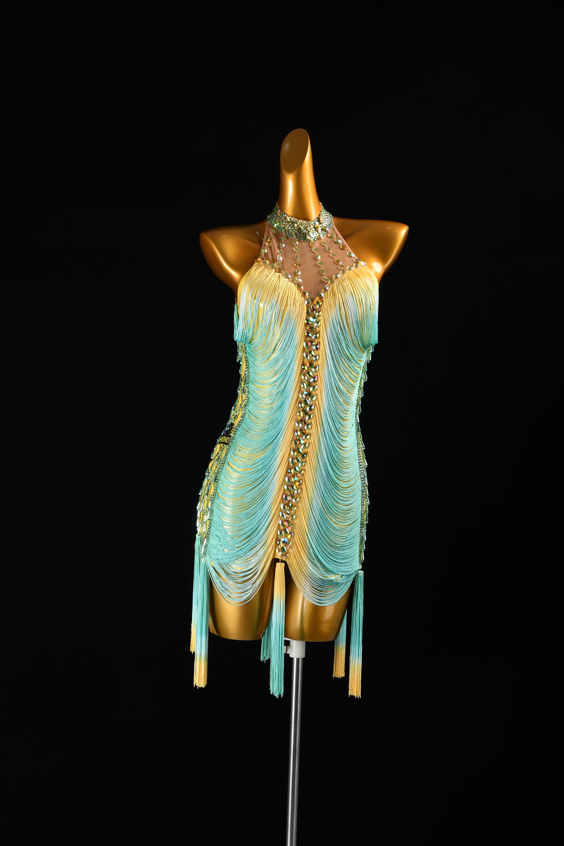 Custom Dance Costume