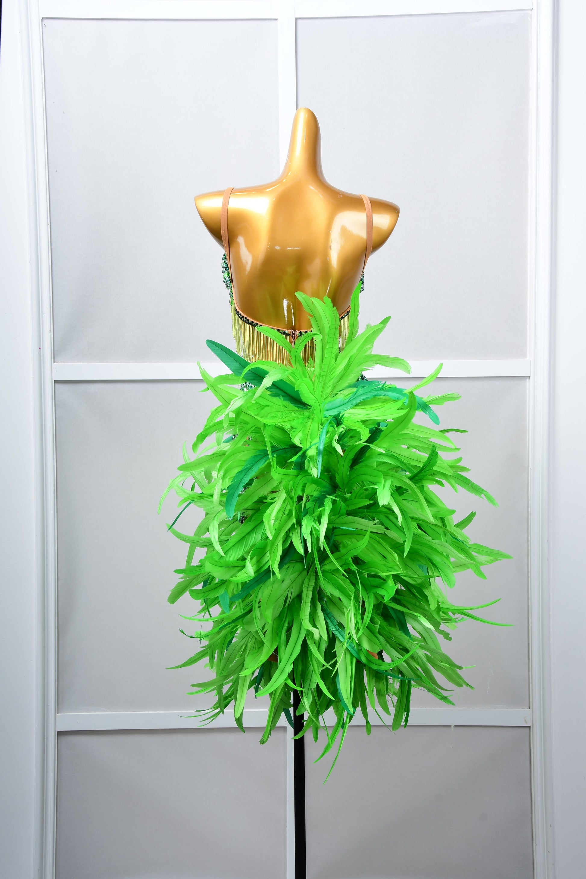 Latin Dancewear Dress