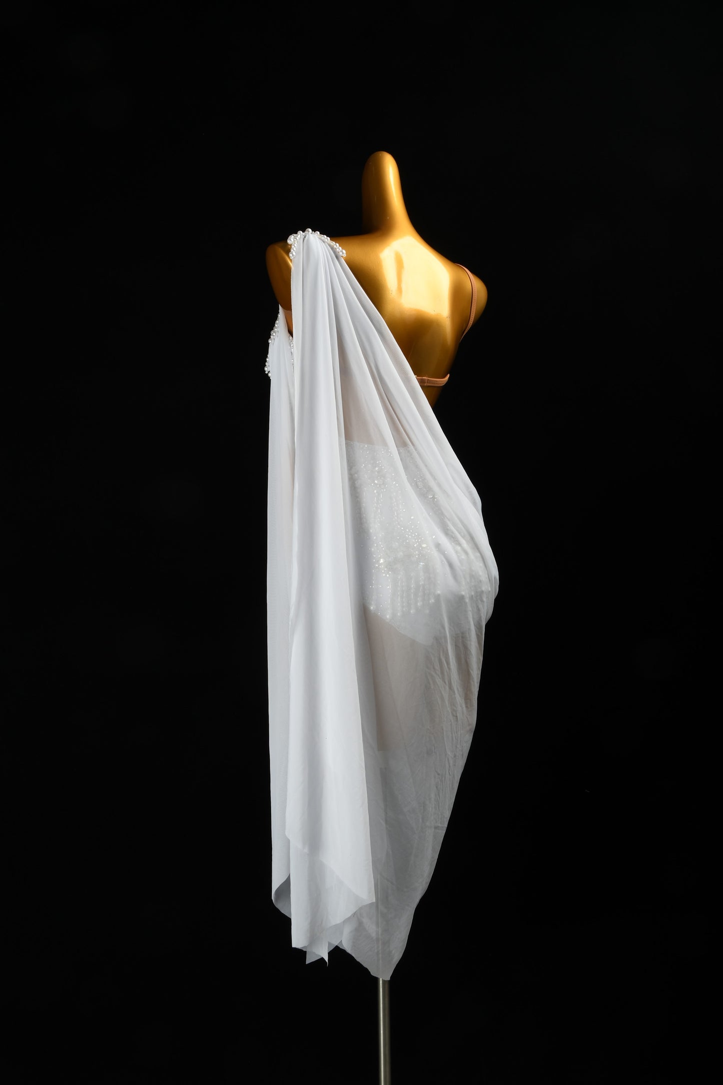 The White Swan Fantasy | Latin Dress For Ladies | DSC_7318