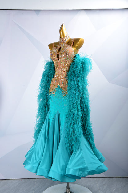 Feathered Ballroom Dress