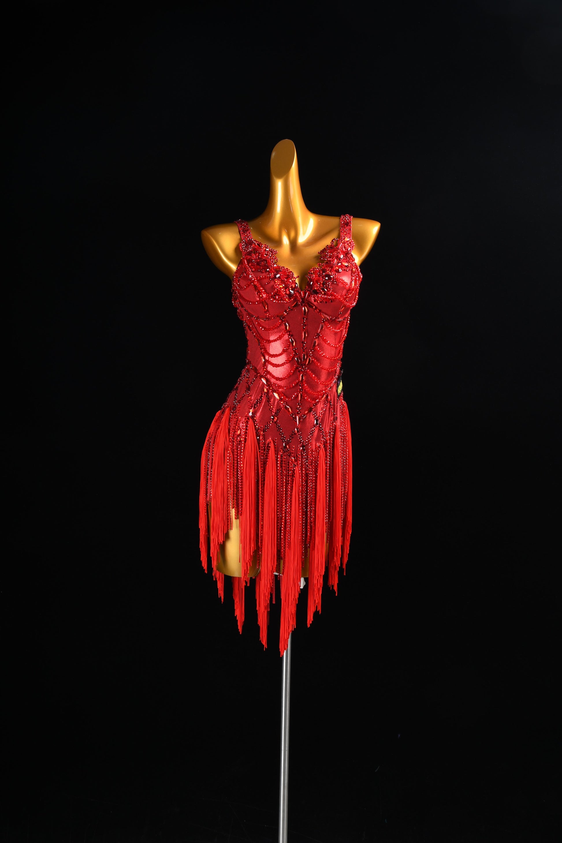 Custom Latin Dance Costume