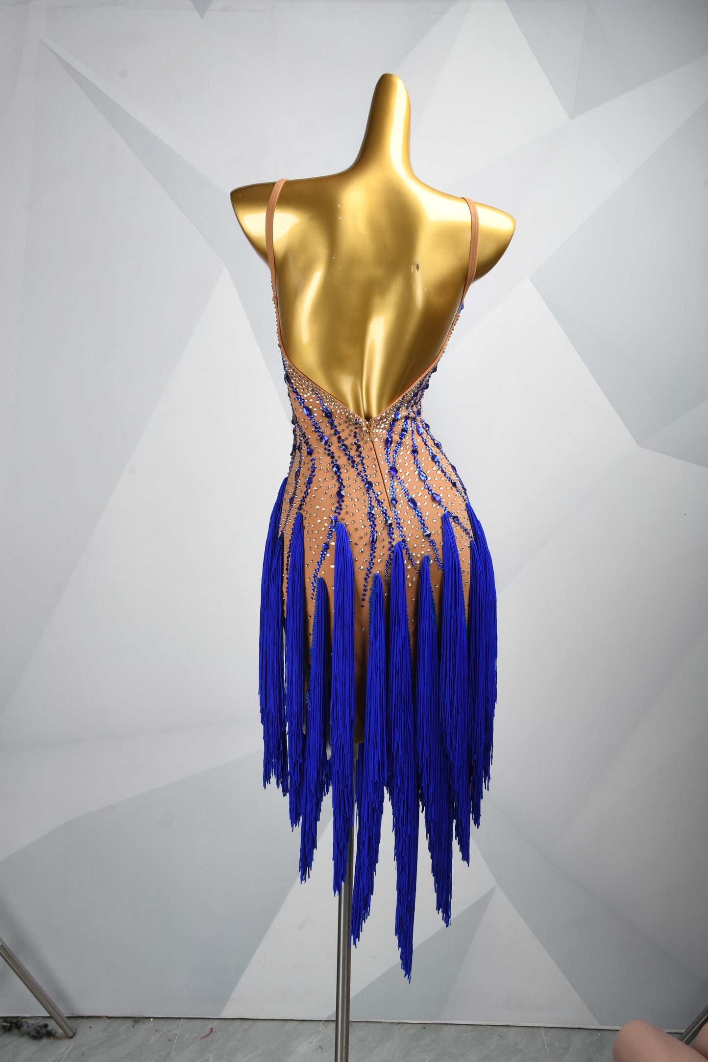 Every Fringe Tells a Story | Crystal Latin Dress | DSC_1915