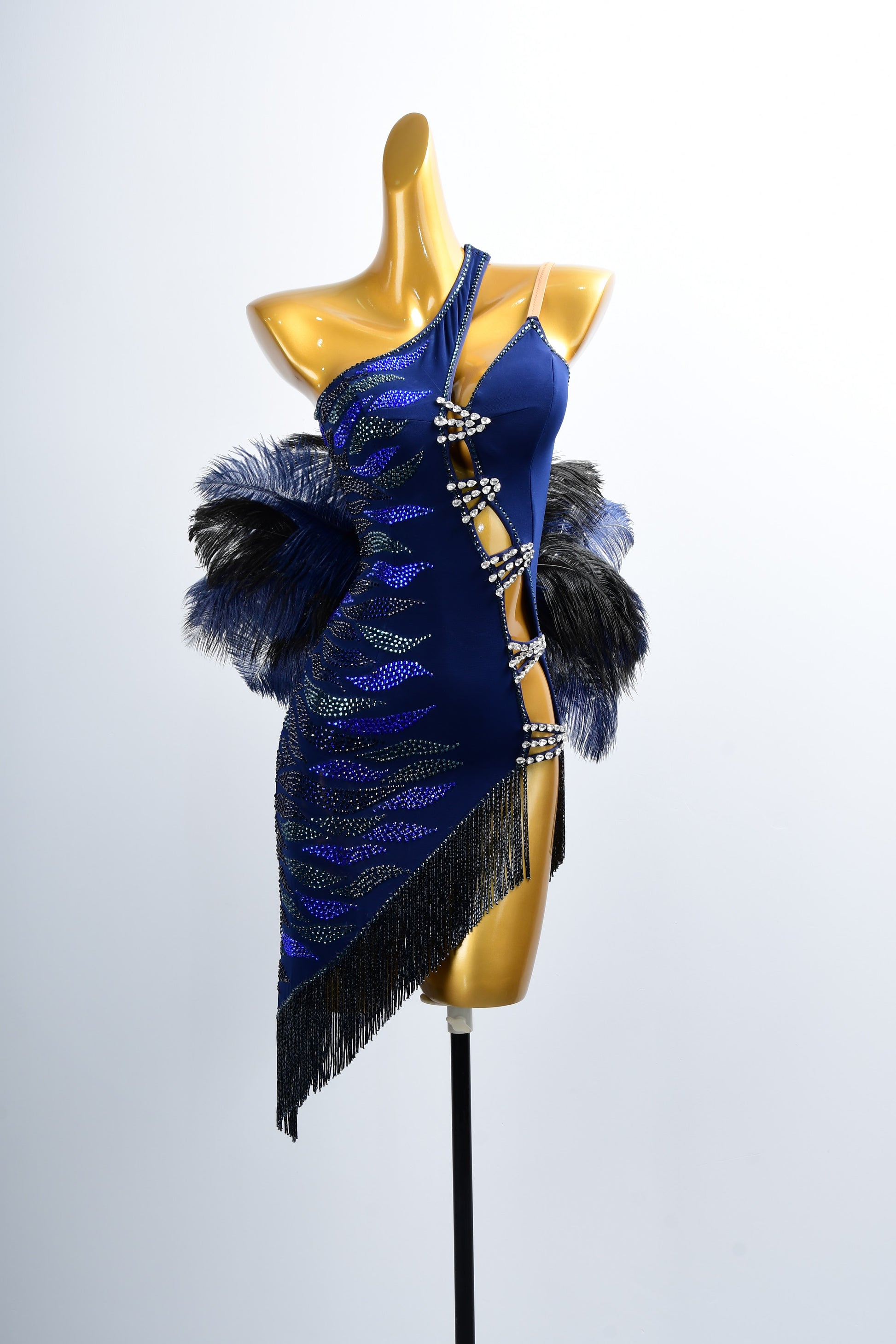 Luxury Latin Performance Dress
