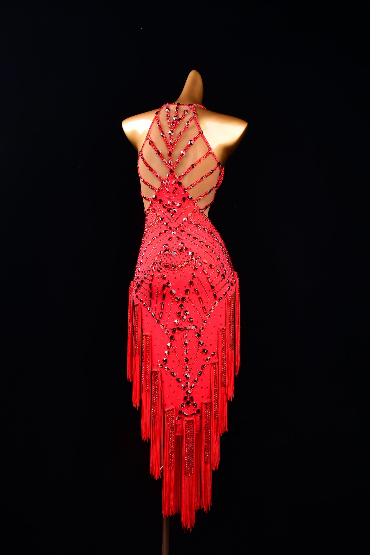 Latin Competition Dress