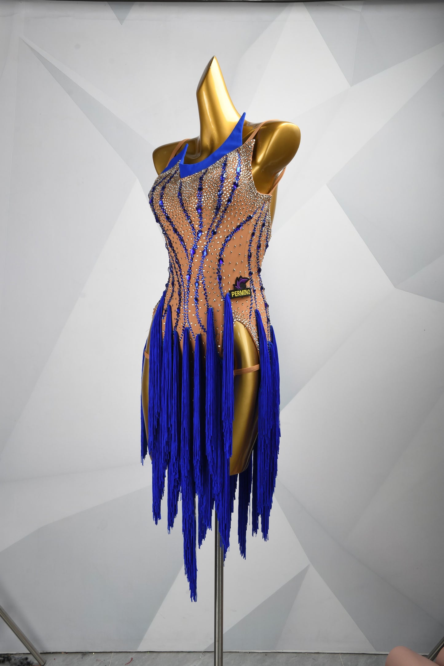 Every Fringe Tells a Story | Crystal Latin Dress | DSC_1915