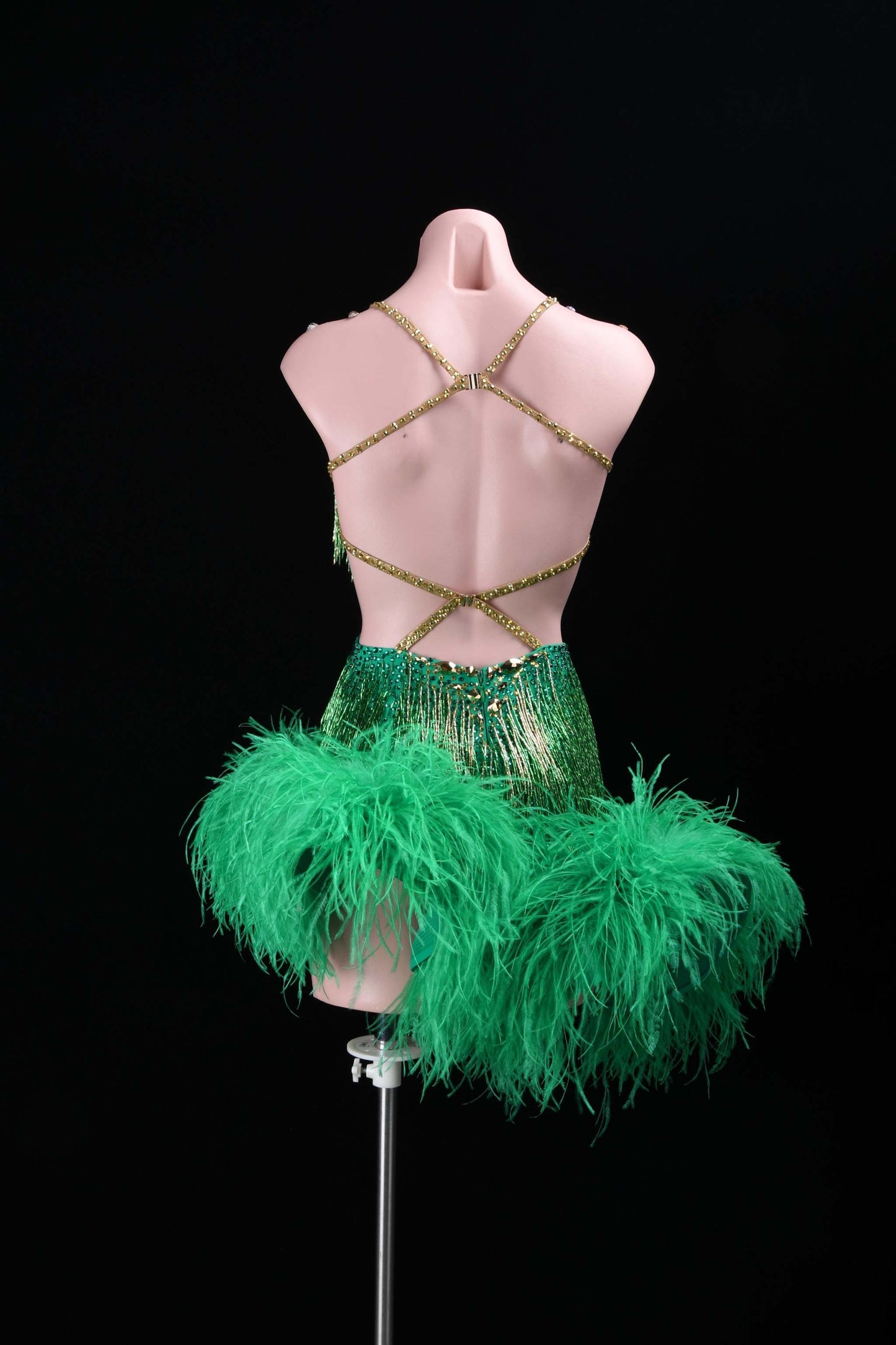 A Spectacle in Motion | Latin Dance Costume | DSC_0174