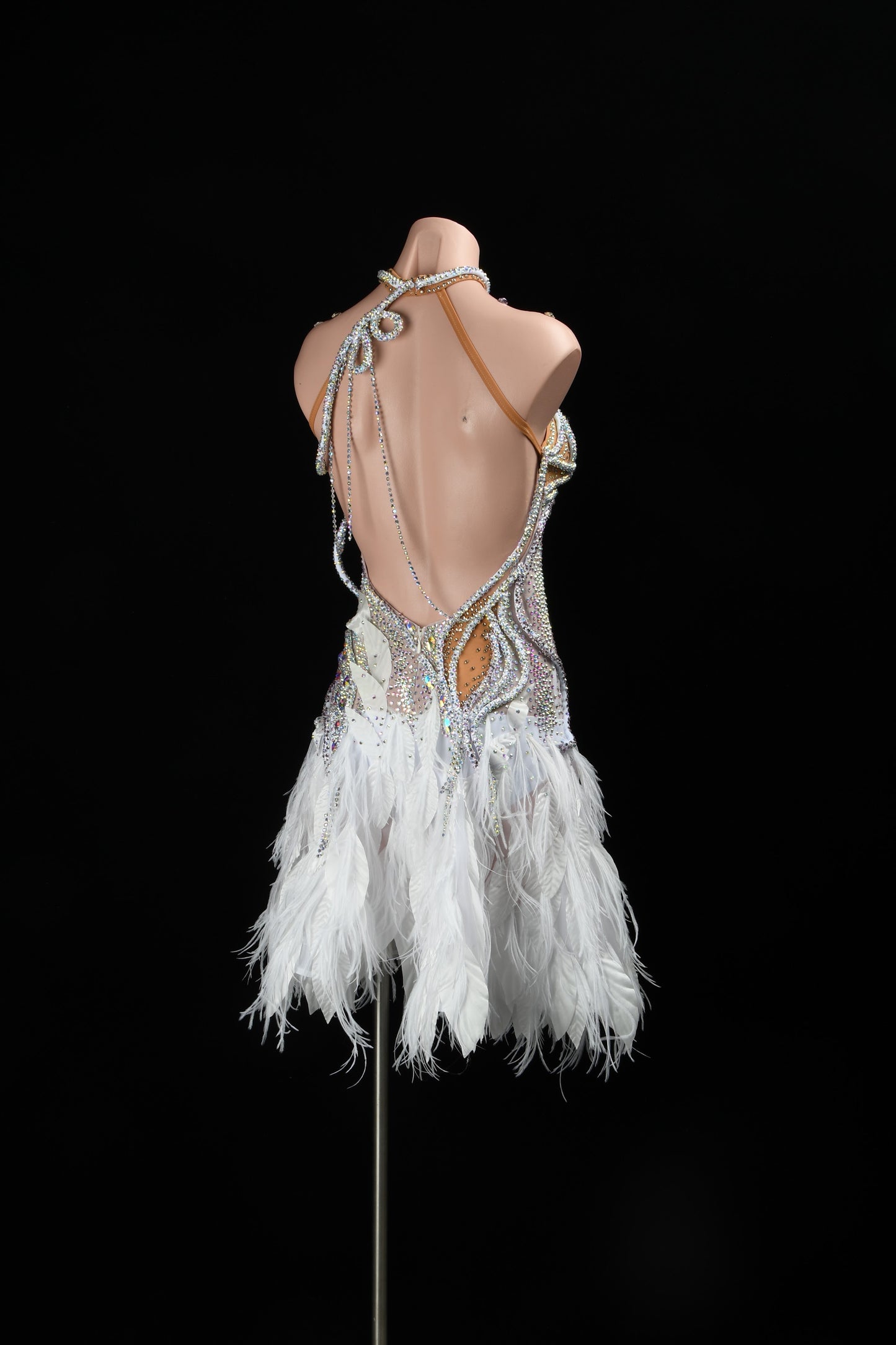 Latin Dance Costume