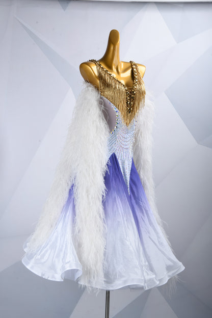 Ballroom Competition Dress