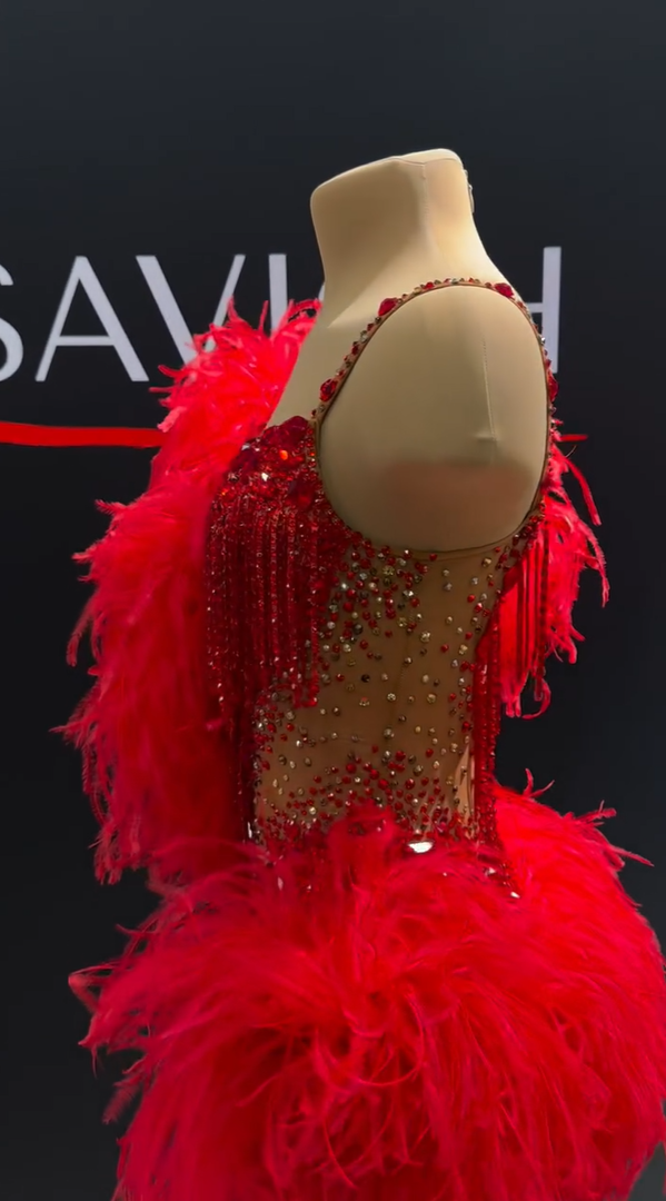 Latin dancesport dresses