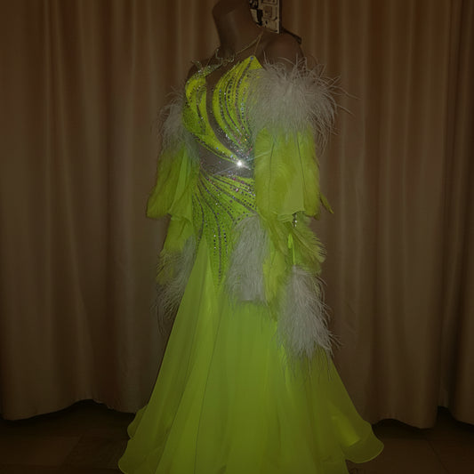 Ballroom Dress For Sale