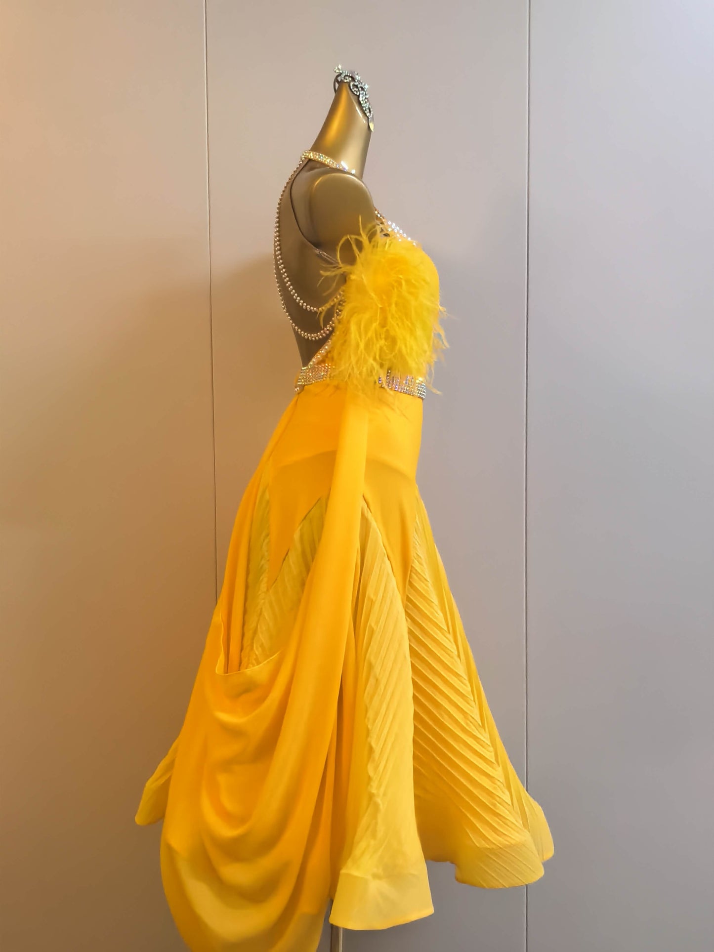 Ballroom Dress For Ladies
