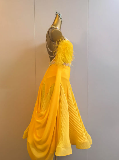 Ballroom Dress For Ladies