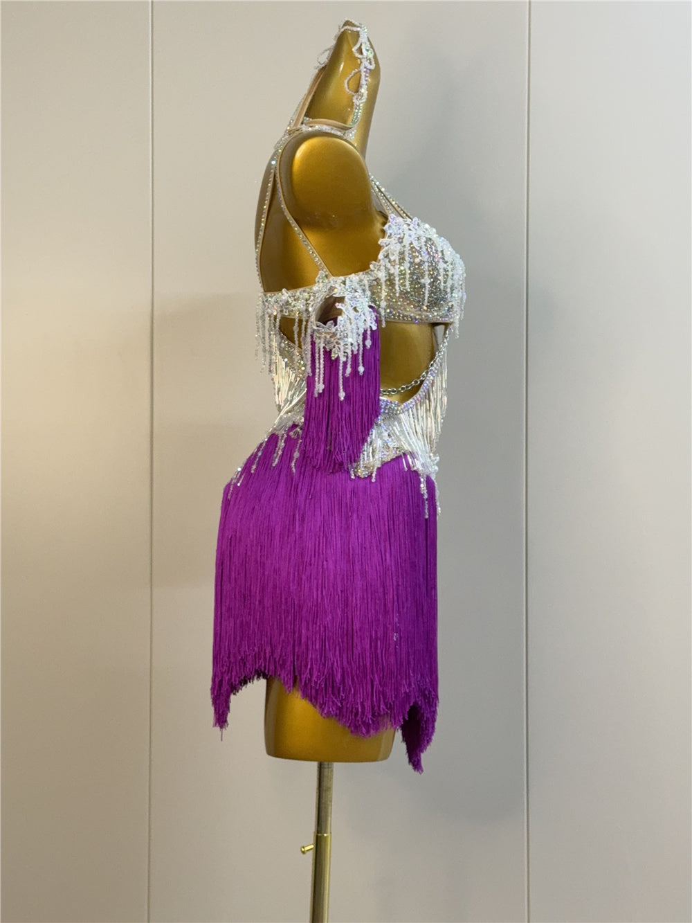 Latin Dance Dress