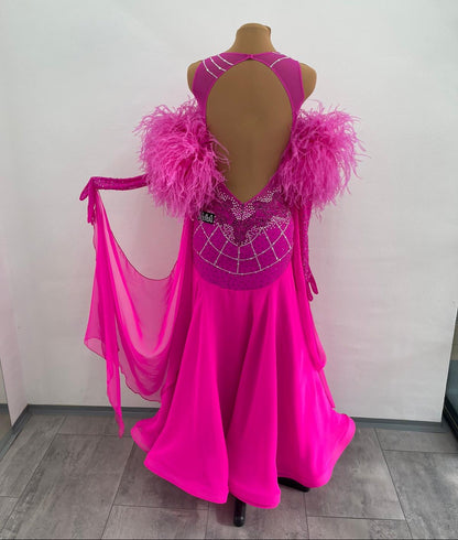 Ballroom Dance Dress