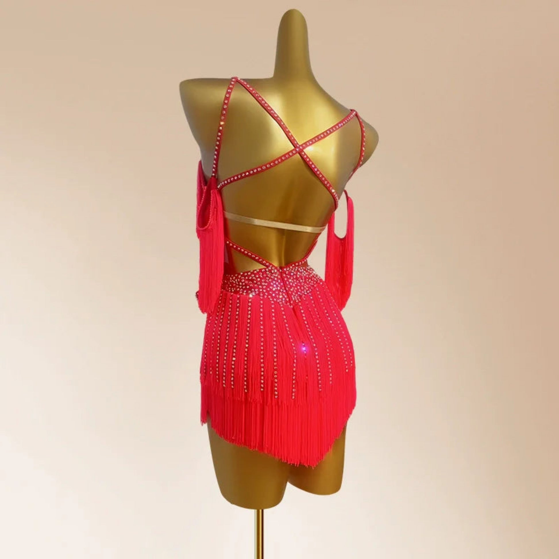 Latin Dress With Fringes 