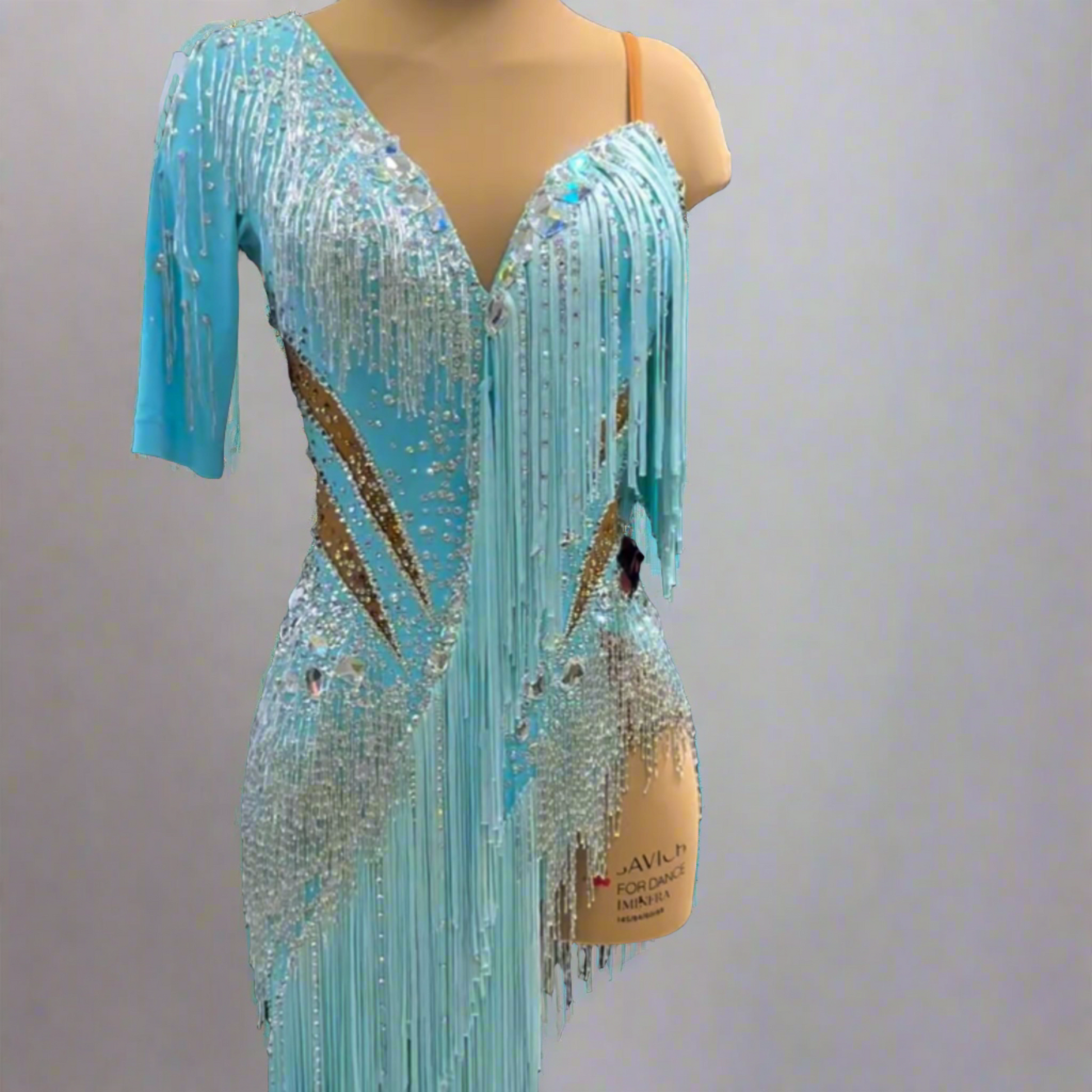 Blue Beaded & Fringed Latin Dance Dress