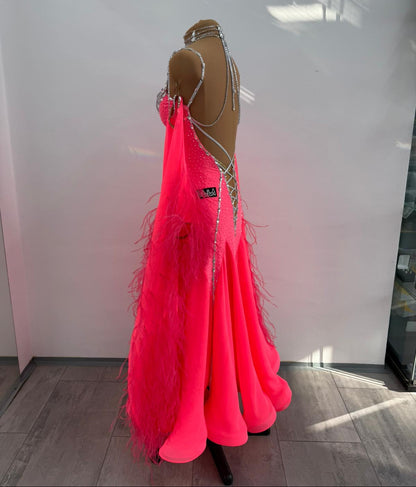Professional Ballroom Dress