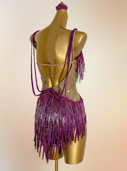 Latin dancesport dresses