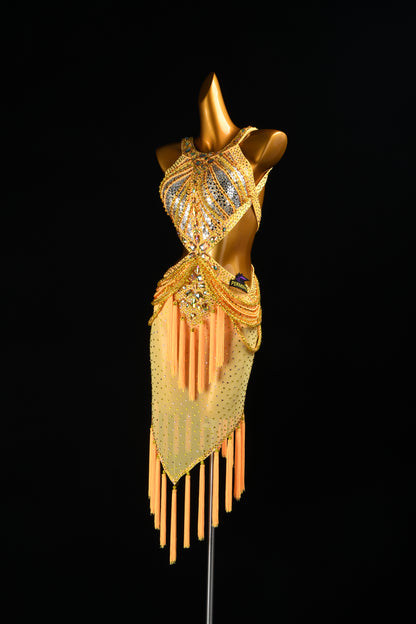 Custom Dance Dress