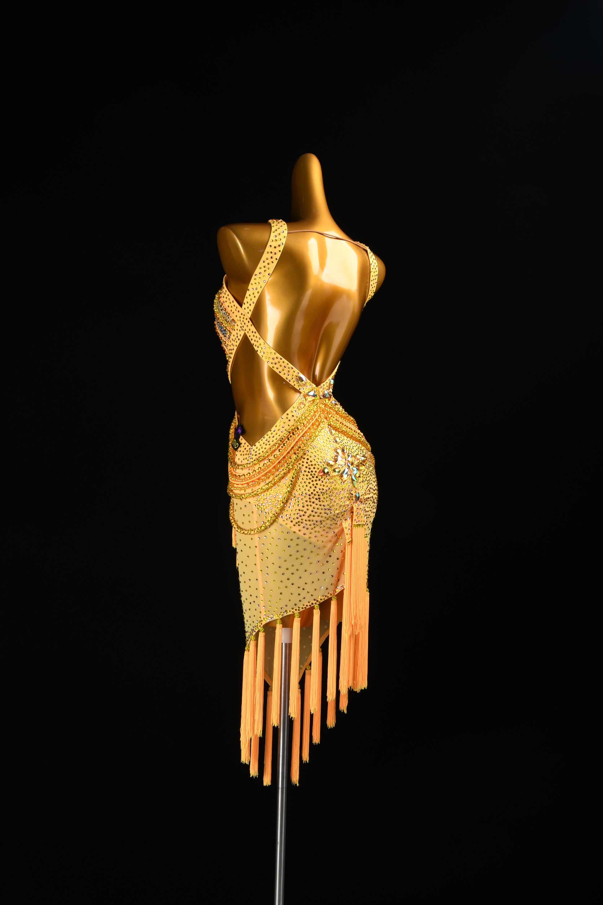 Custom Dance Dress