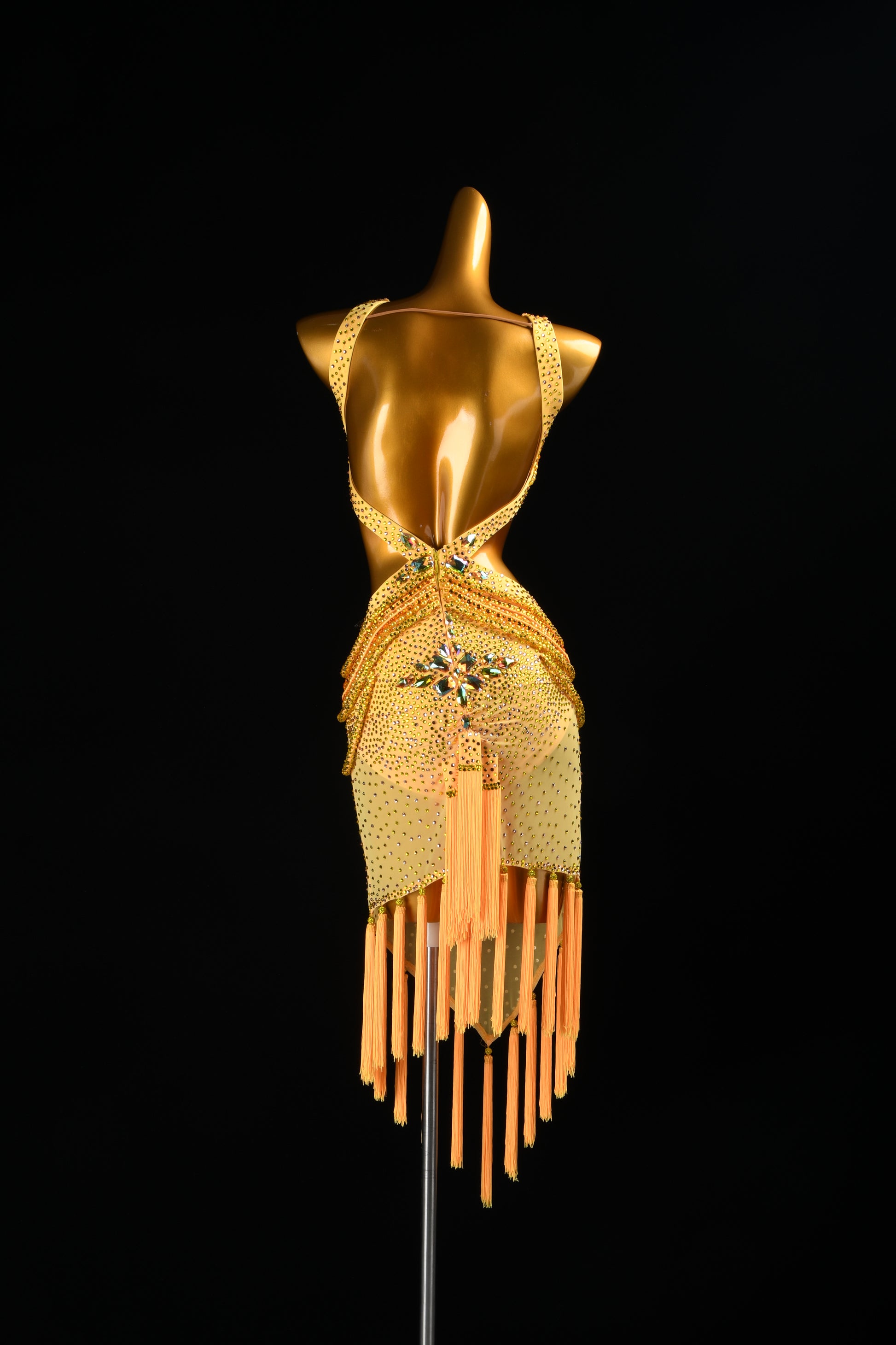 Custom Dance Dress