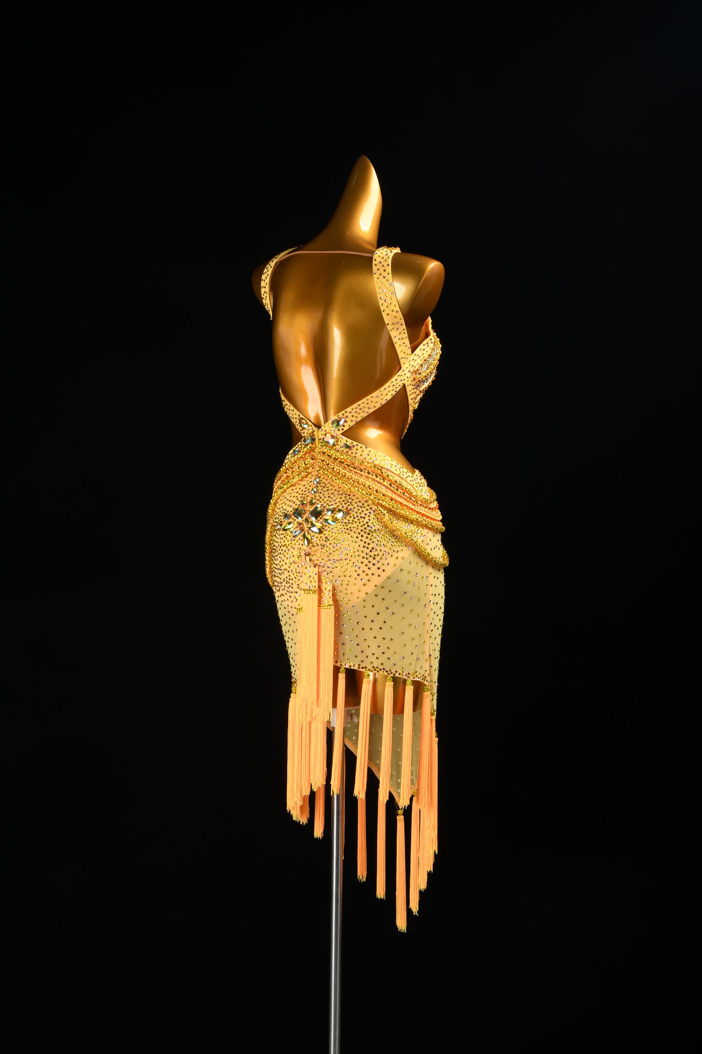 Custom Dance Dress