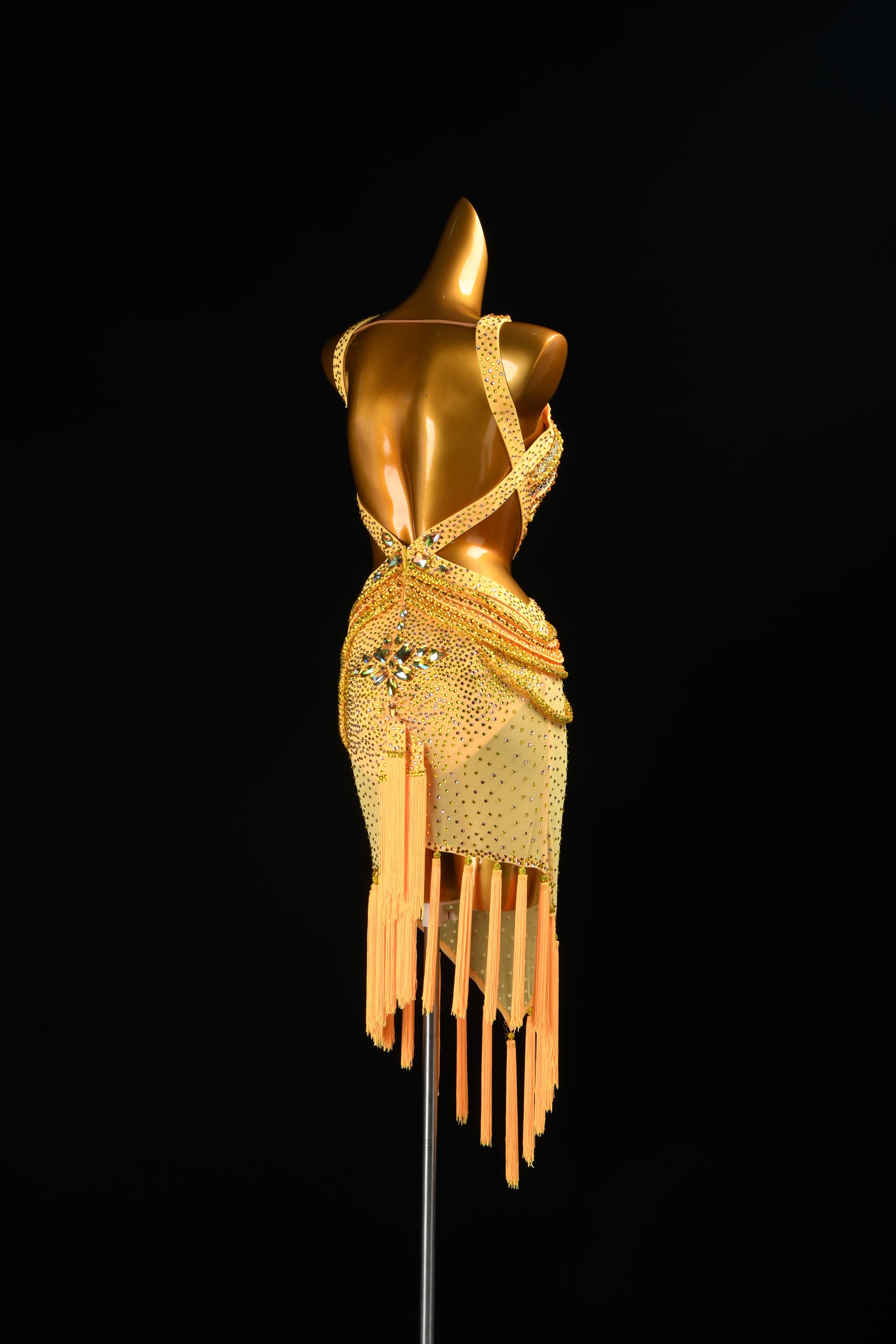 Custom Dance Dress