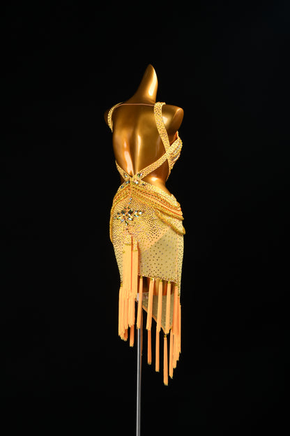 Custom Dance Dress