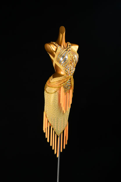 Custom Dance Dress