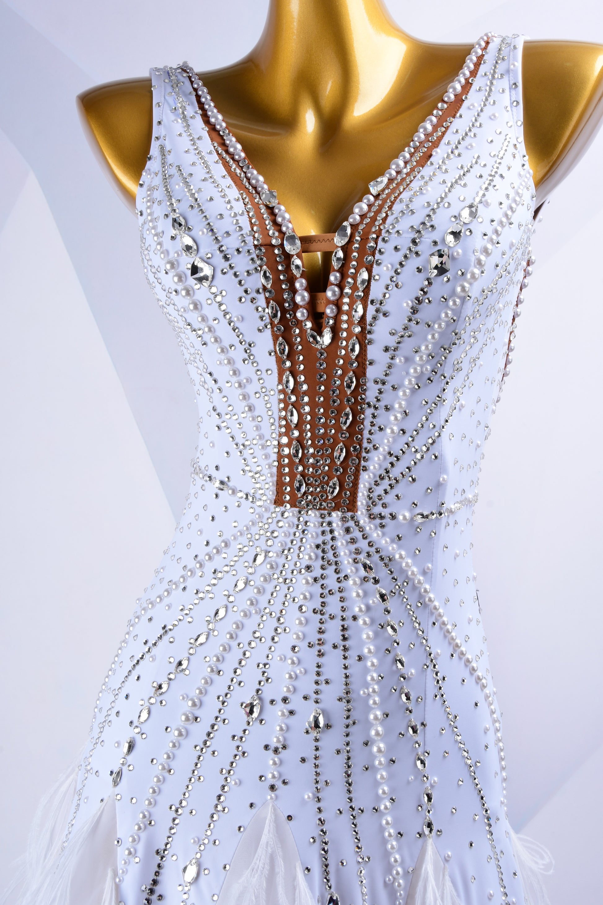 Woman Ballroom Dress