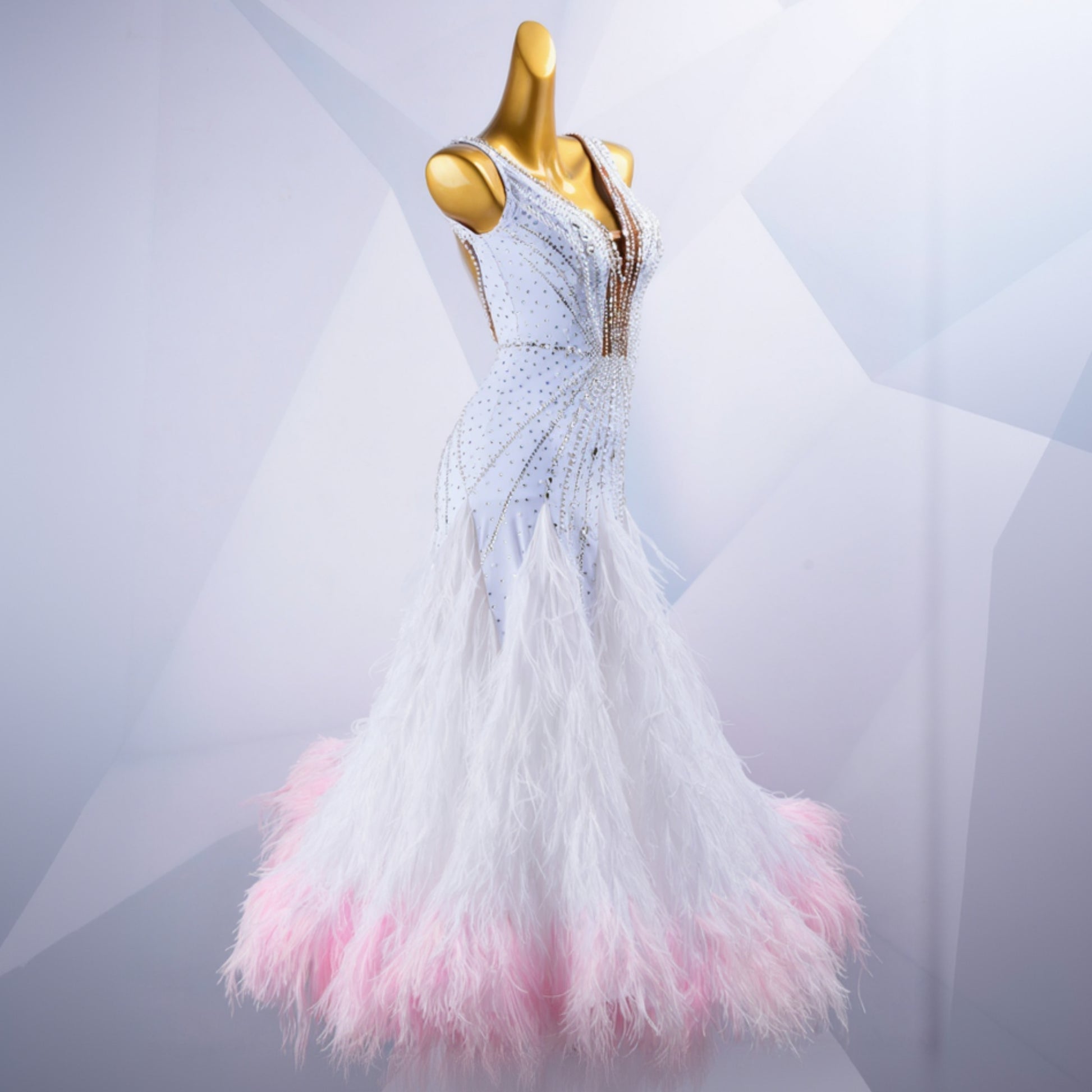 Woman Ballroom Dress