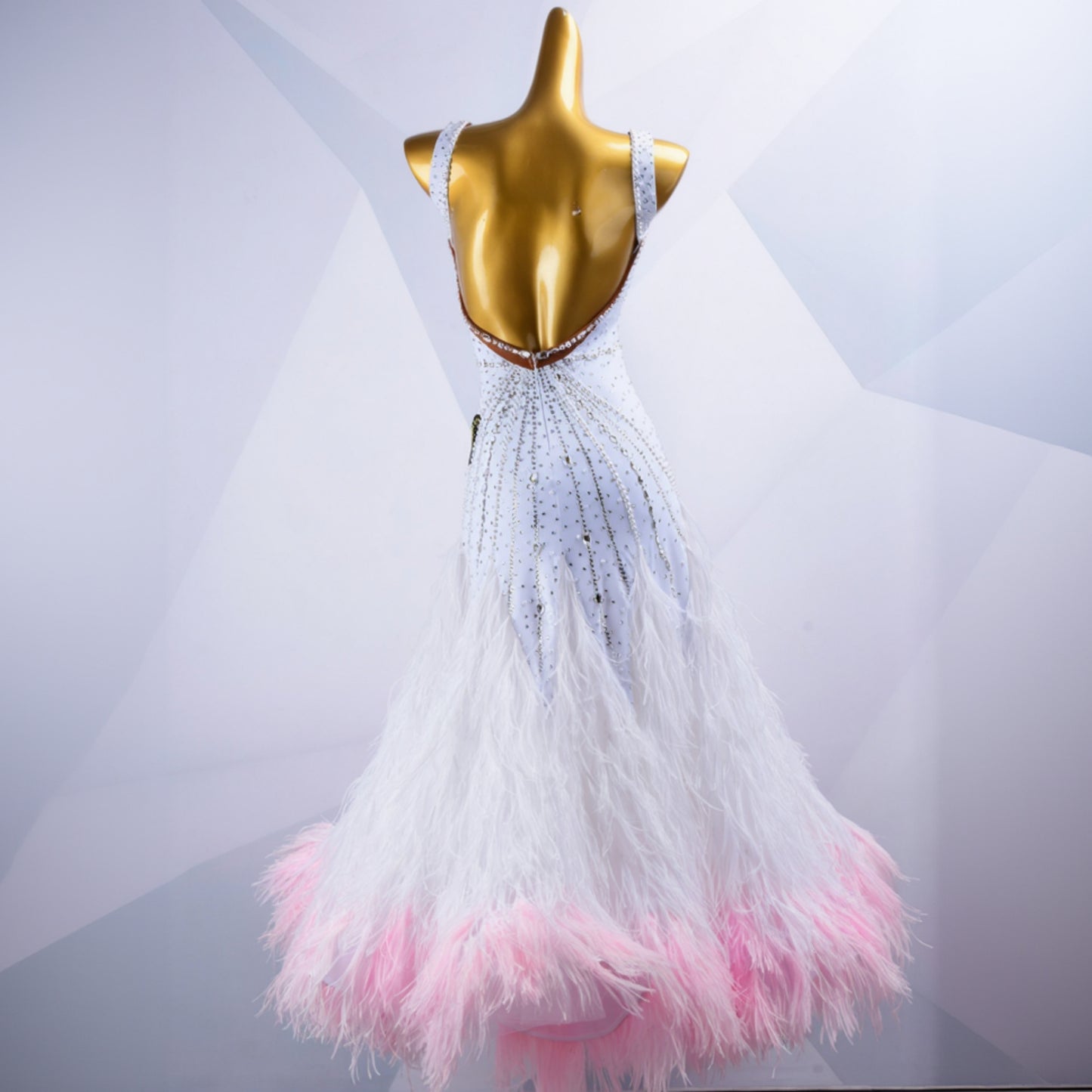 Woman Ballroom Dress