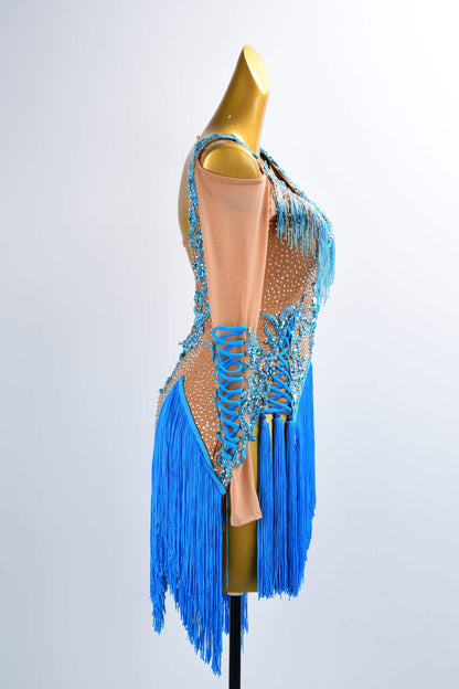 Latin dancesport dresses 