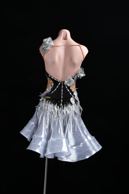 Latin dancesport dresses