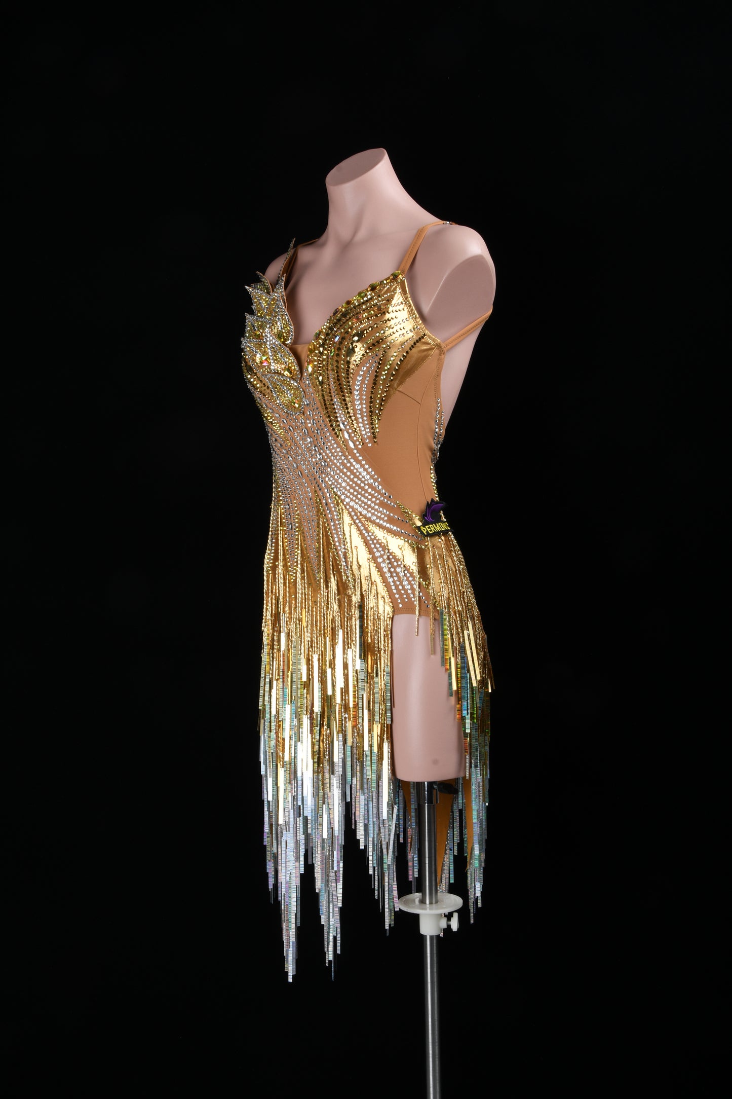 Latin dancesport dresses