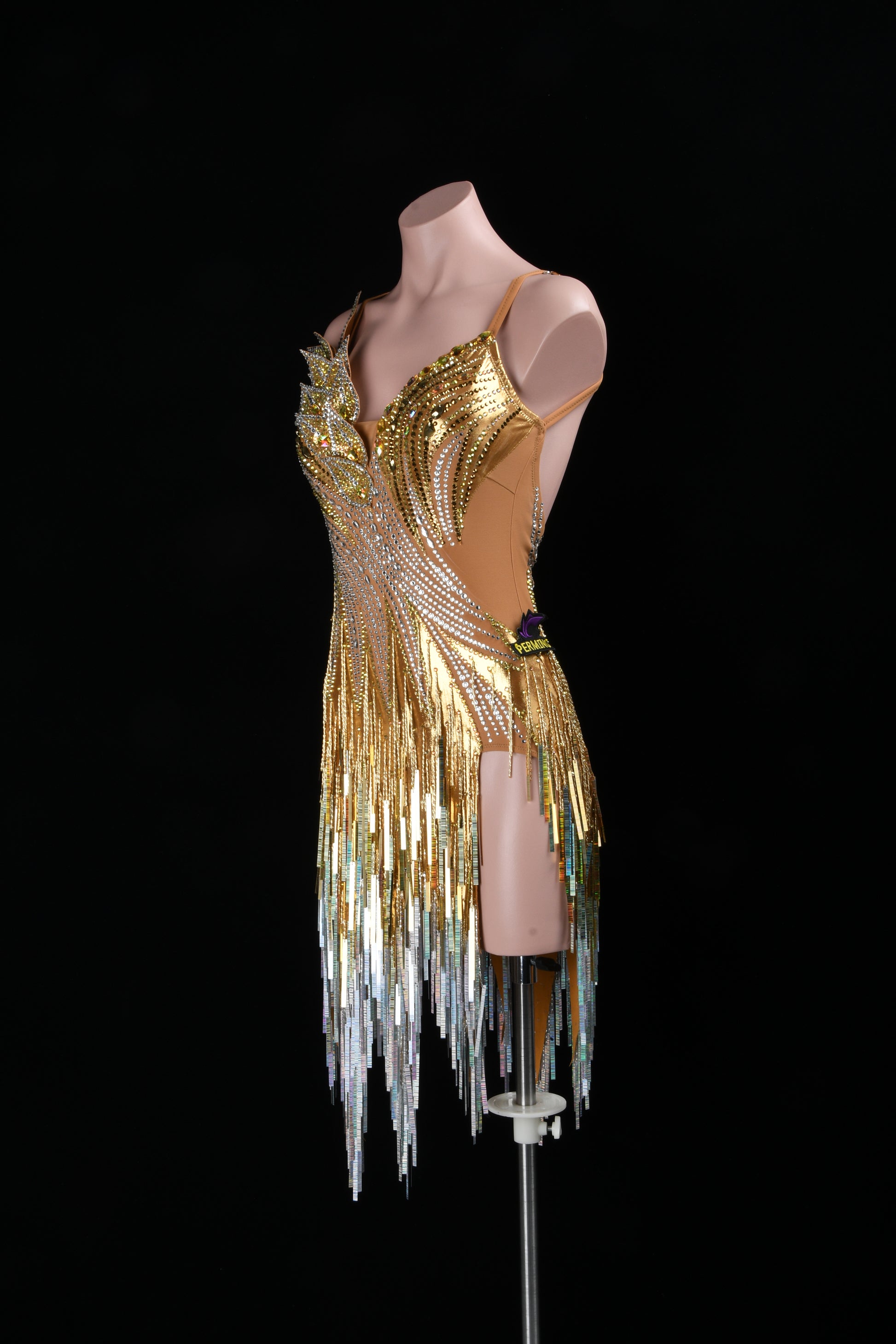 Latin dancesport dresses