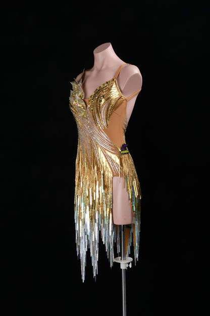 Latin dancesport dresses