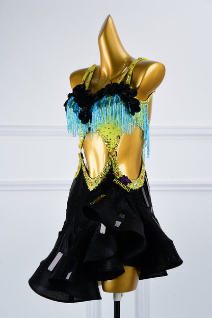 Latin dancesport dresses 