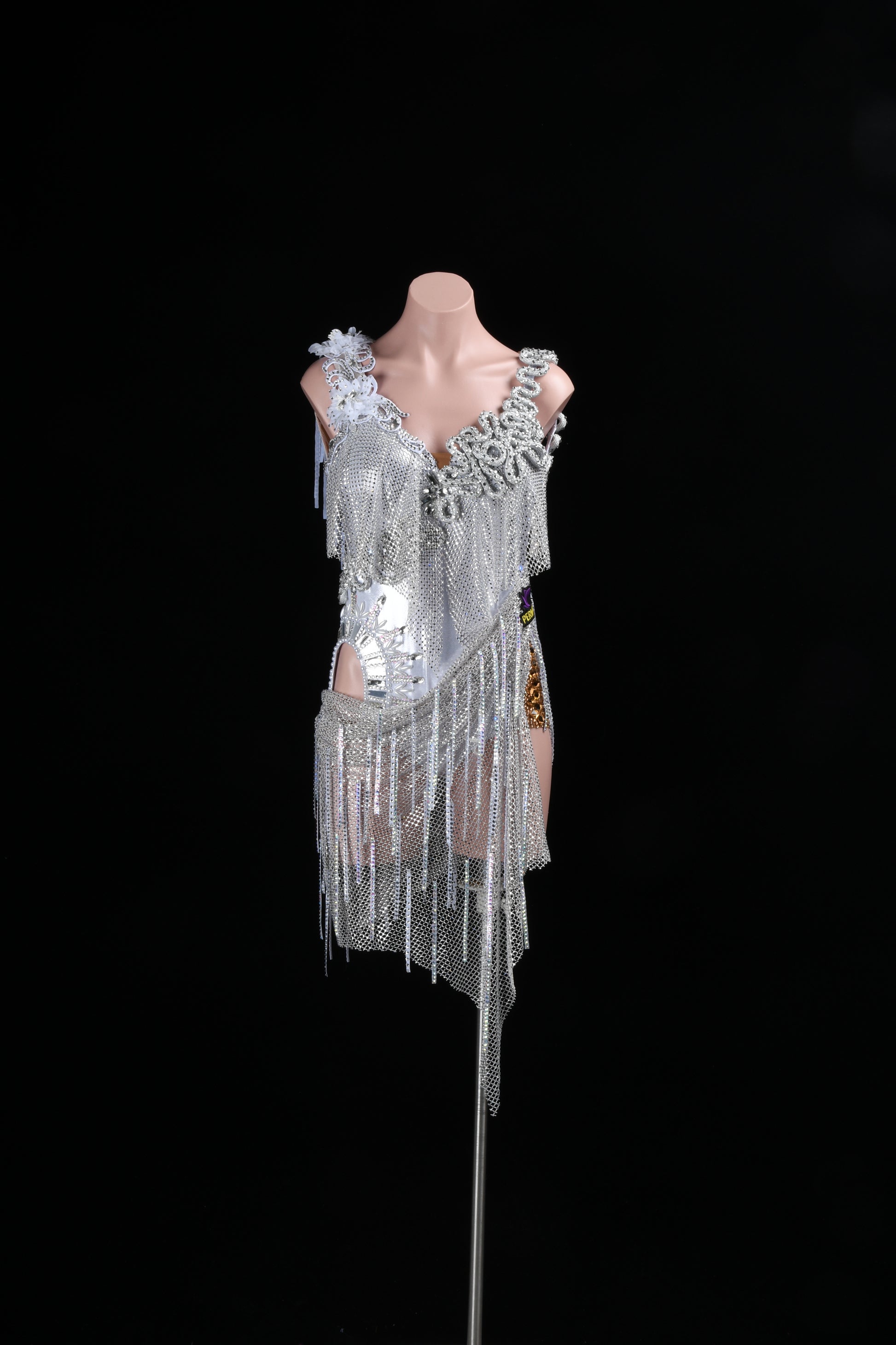 Latin dancesport dresses