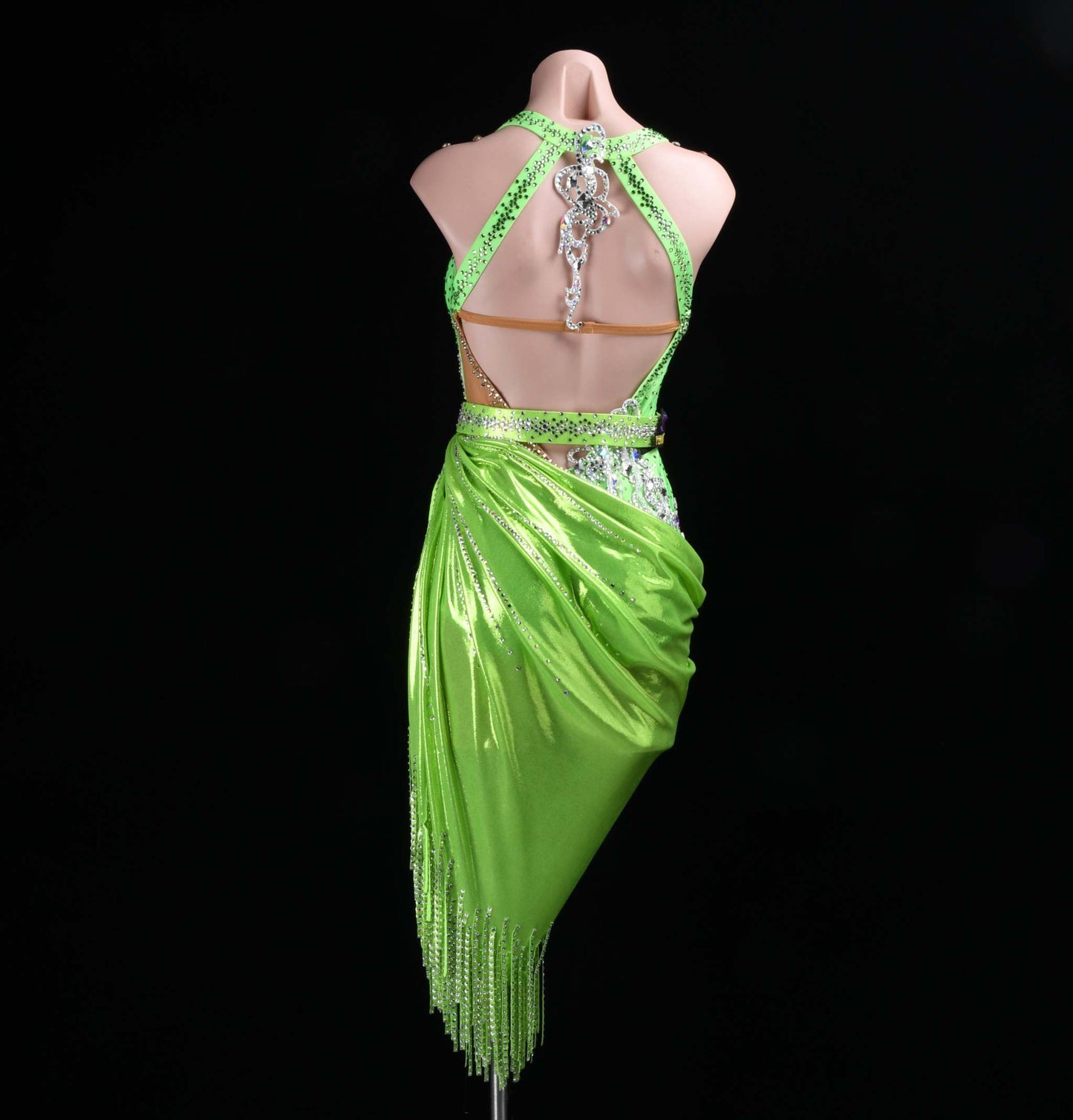 Shimmering Fantasy | DSC_4070