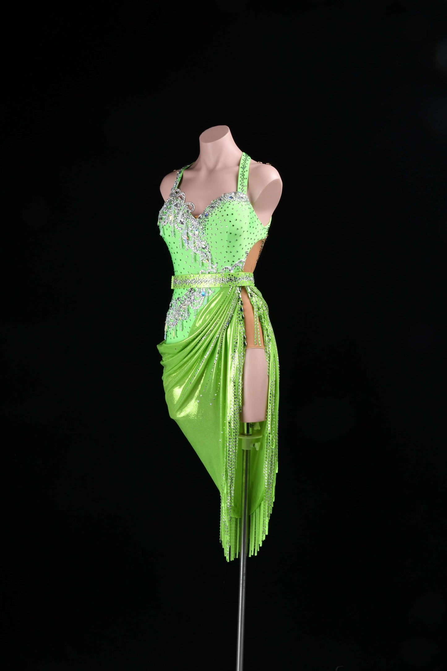 Shimmering Fantasy | DSC_4070