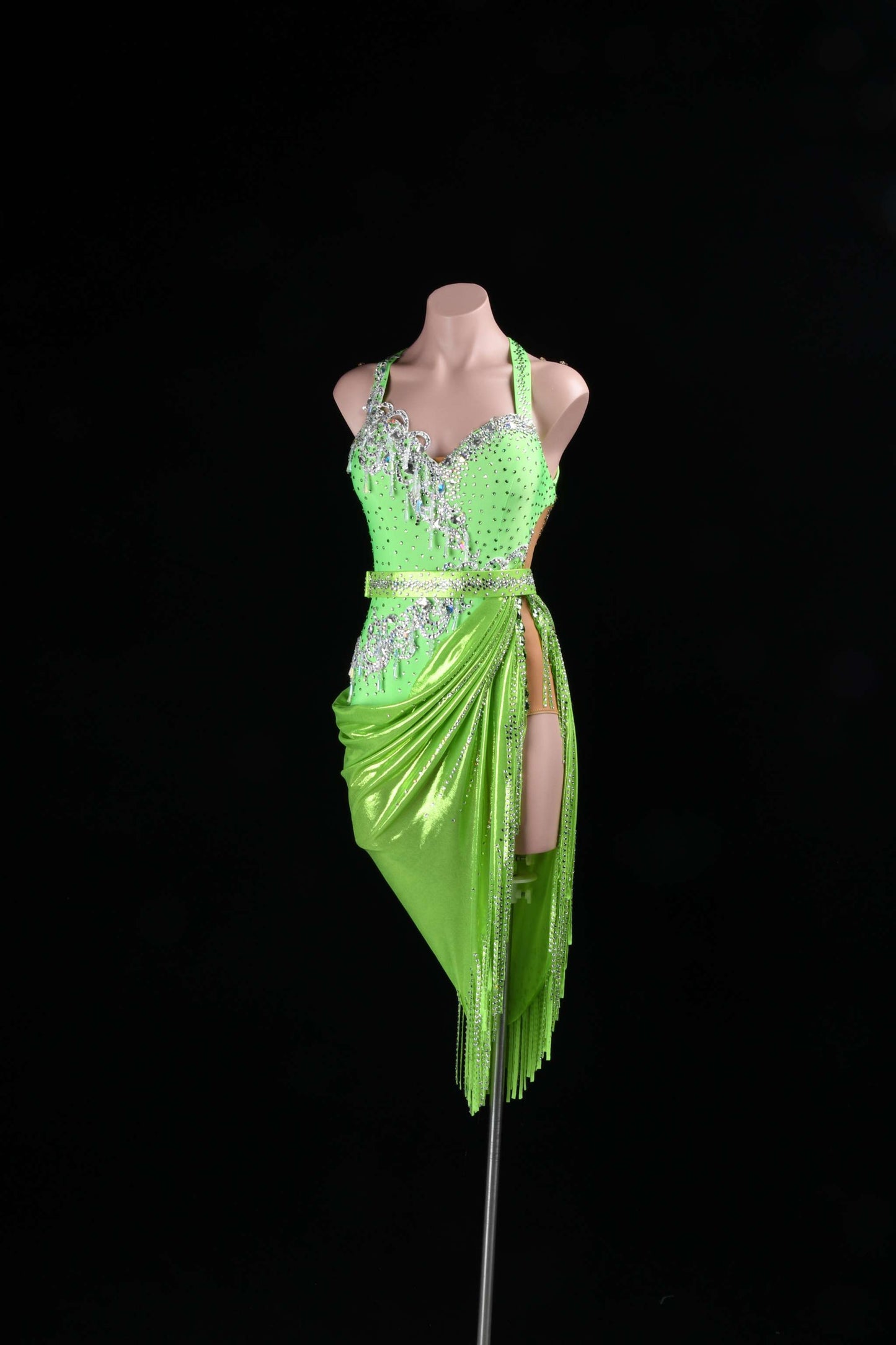 Shimmering Fantasy | DSC_4070