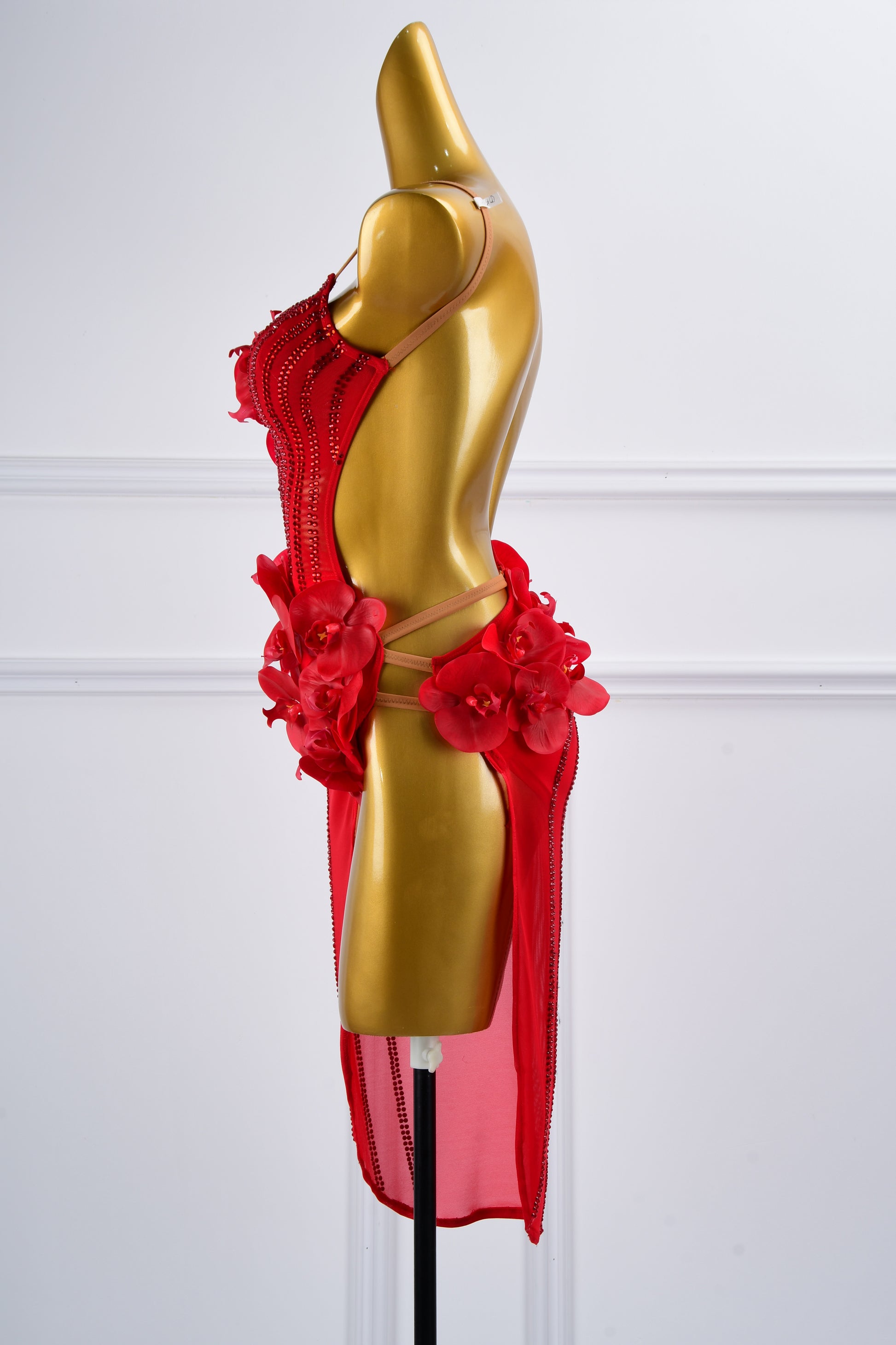 Latin dancesport dresses 