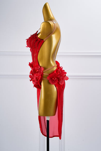 Latin dancesport dresses 