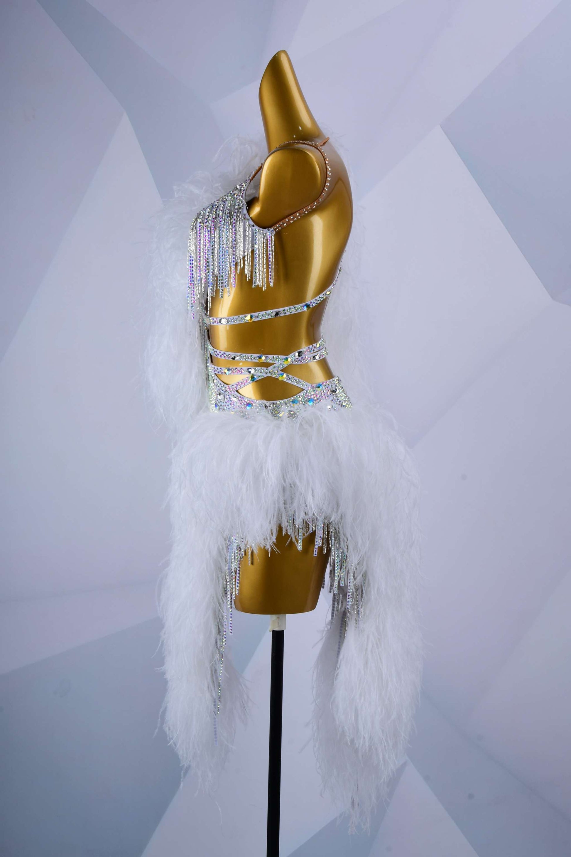 Latin dancesport dresses 