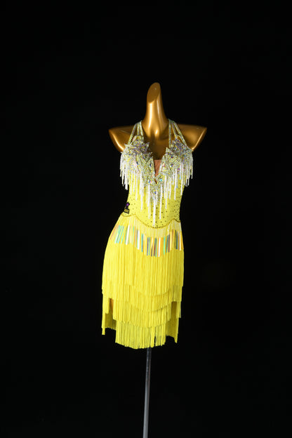 Latin dancesport dresses 