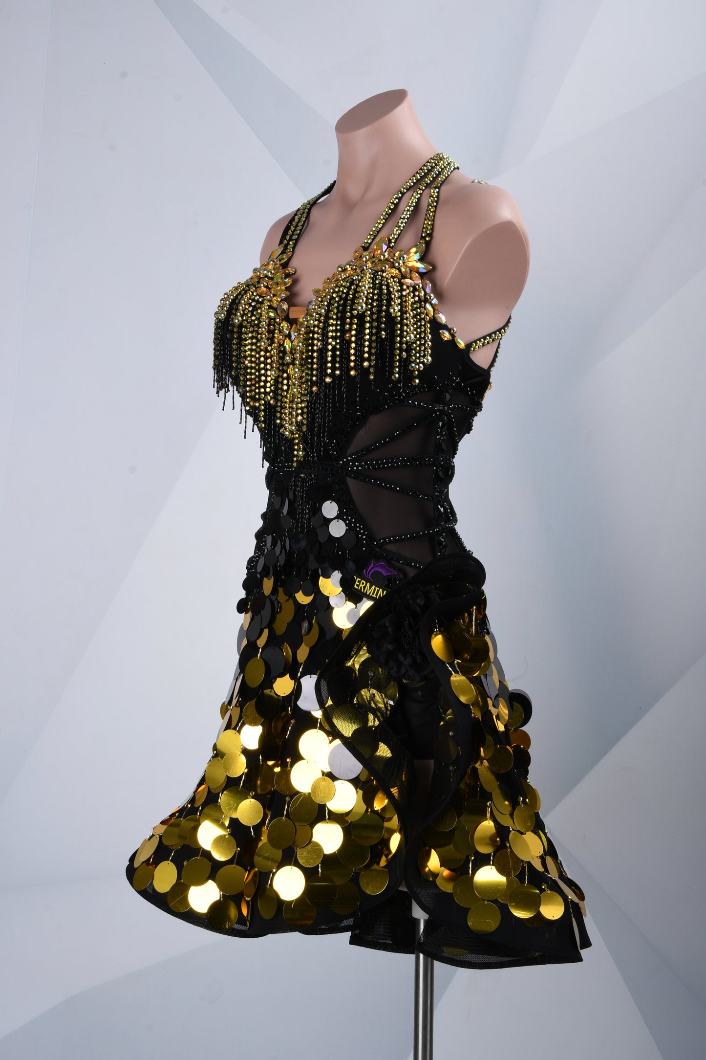 Ladies Latin Dress